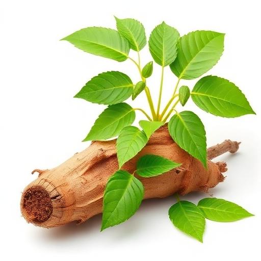 Ashwagandha